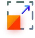 Scaling Icon