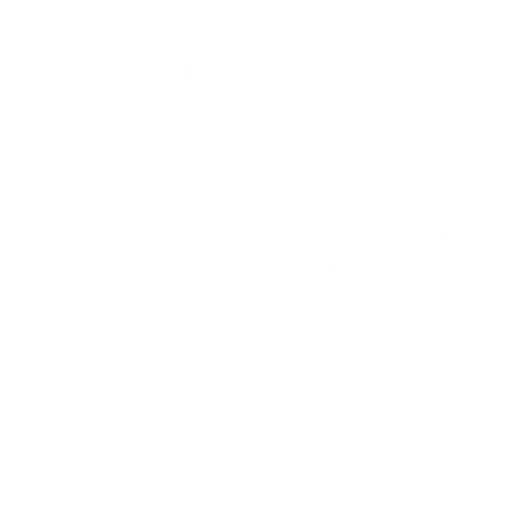 Case Studies icon